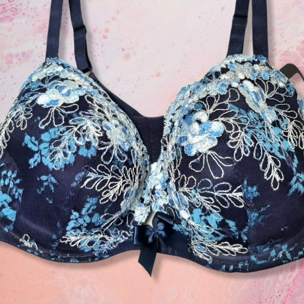 Enchanted Brand Blue Floral Embroidered Bra sz 44 C NWT